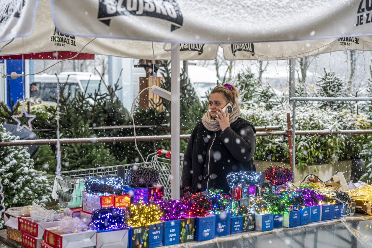 20252412 badnjak (19)