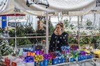 20252412 badnjak (19)