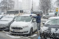 20252412 badnjak (2)