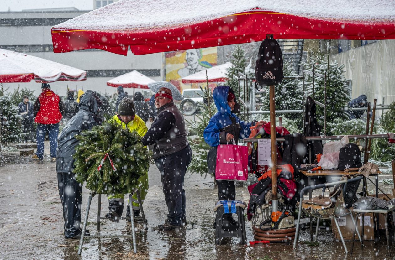 20252412 badnjak (21)