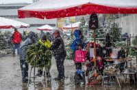 20252412 badnjak (21)