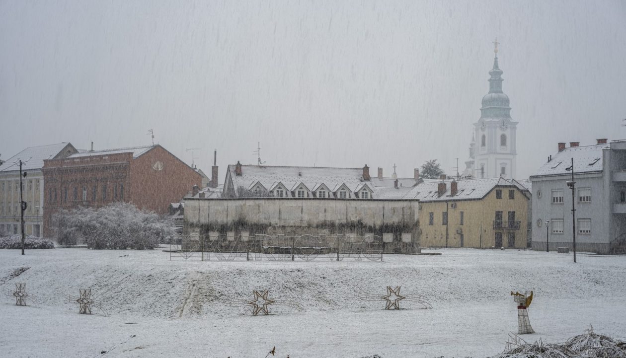 20252412 badnjak (6)