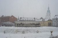 20252412 badnjak (6)