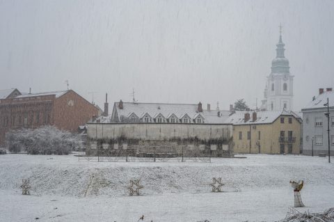 20252412 badnjak (6)