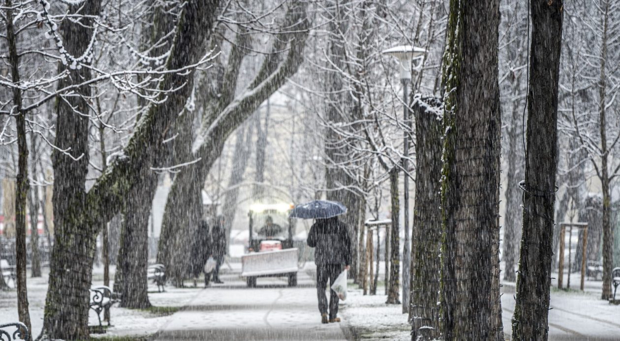 20252412 badnjak (8)