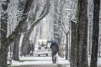 20252412 badnjak (8)