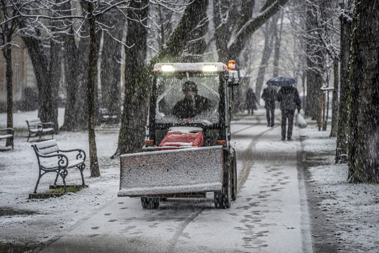 20252412 badnjak (9)