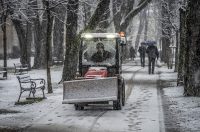 20252412 badnjak (9)