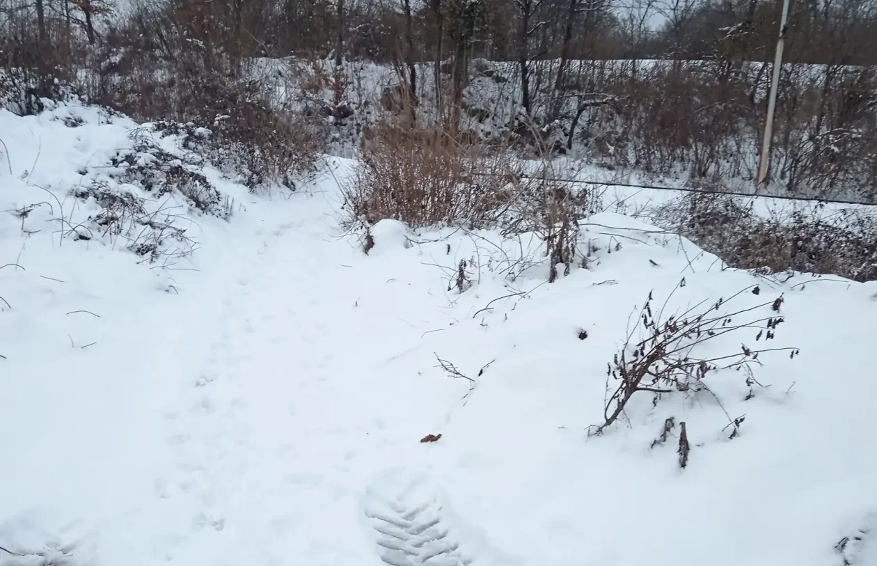 20260112 Donji Zvečaj (foto Dušan Predović) 02