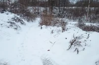 20260112 Donji Zvečaj (foto Dušan Predović) 02