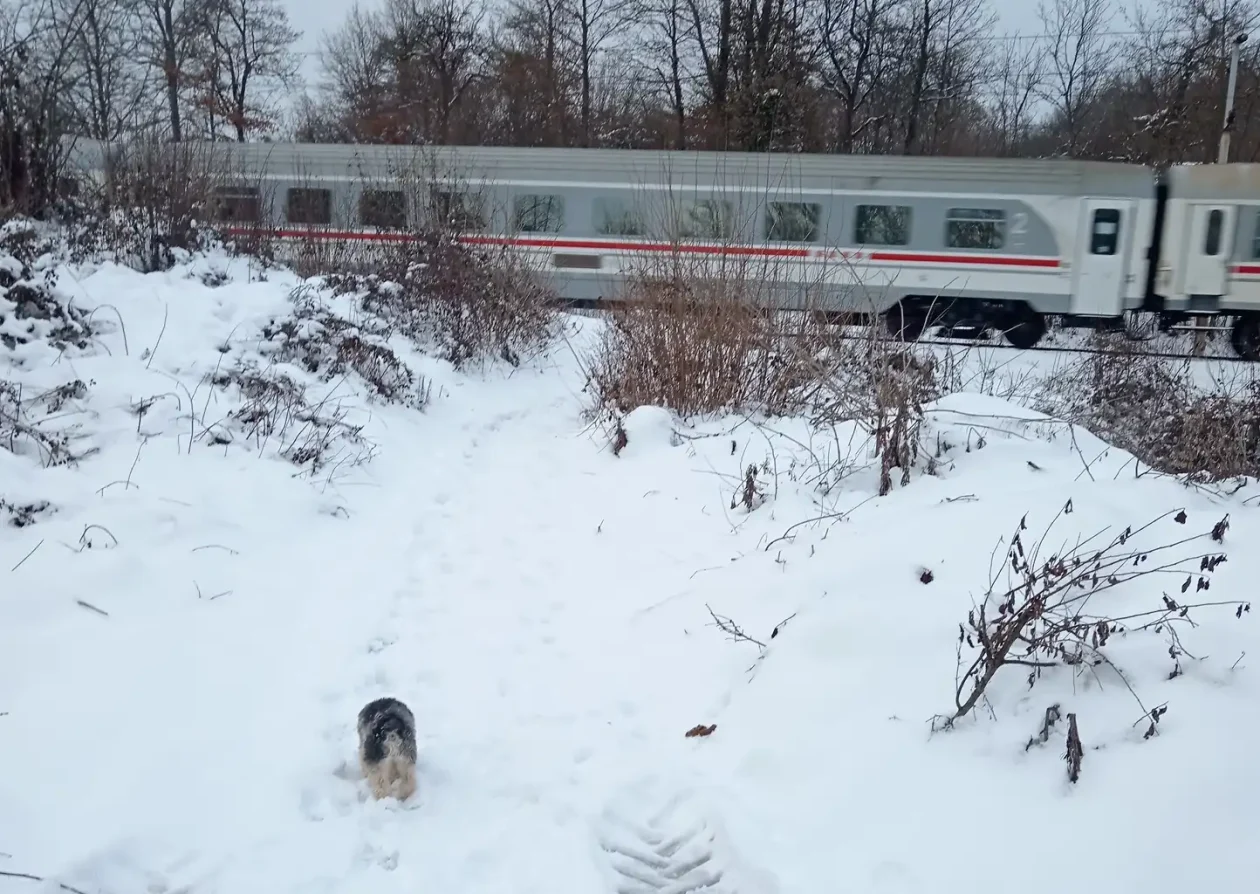 20260112 Donji Zvečaj (foto Dušan Predović) 03