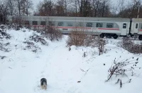 20260112 Donji Zvečaj (foto Dušan Predović) 03