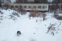 20260112 Donji Zvečaj (foto Dušan Predović) 04