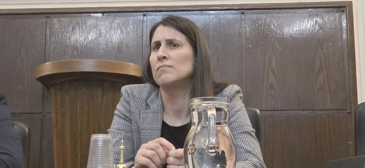 20260209 Grad Karlovac 08 Ivana Grbić Lončarić