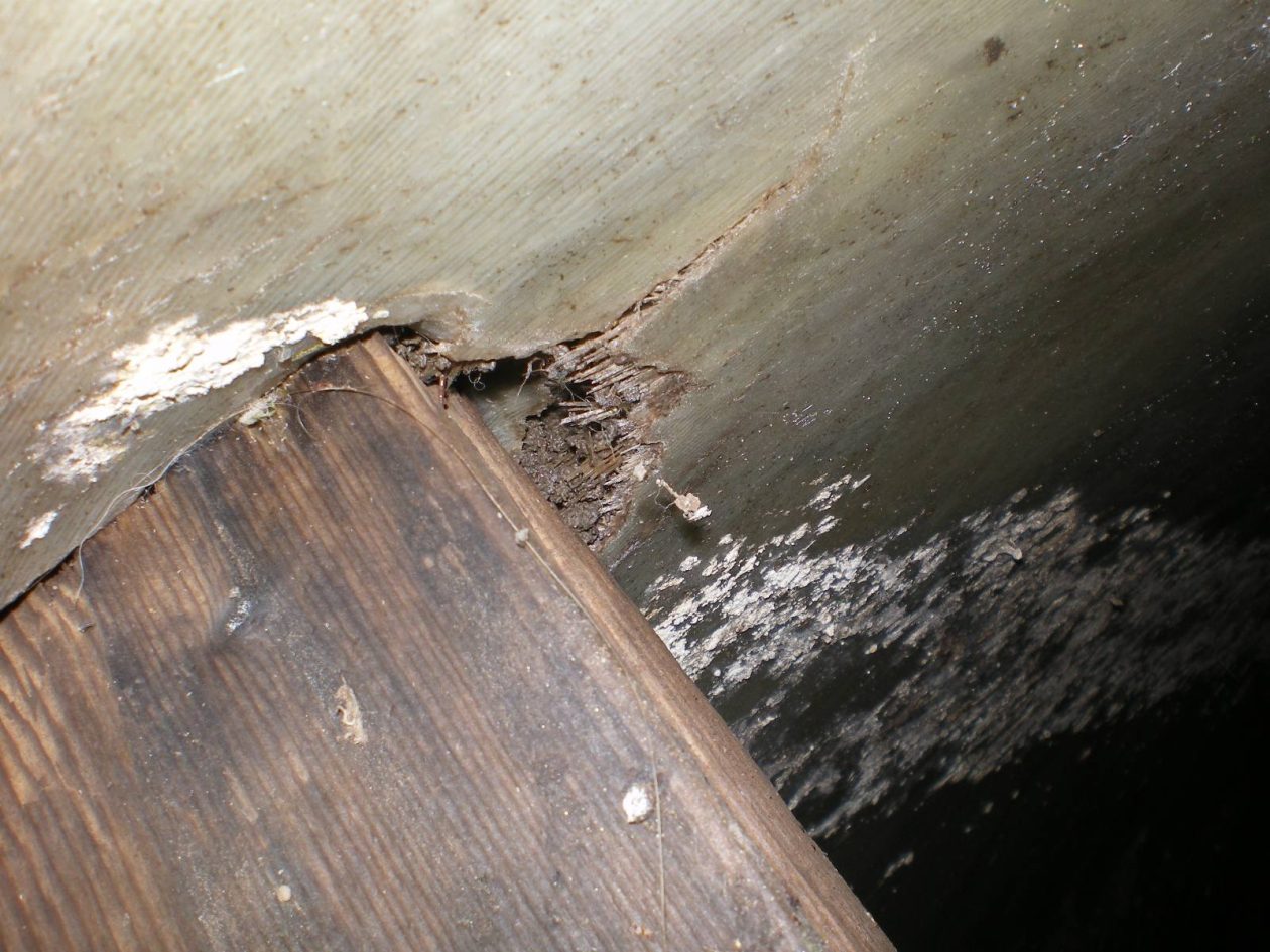 20260225 kanalizacija u Kraševoj (foto Vodovod i kanalizacija) 01 20260225 kanalizacija u Kraševoj (foto Vodovod i kanalizacija) 01