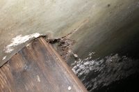 20260225 kanalizacija u Kraševoj (foto Vodovod i kanalizacija) 01 20260225 kanalizacija u Kraševoj (foto Vodovod i kanalizacija) 01