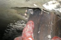 20260225 kanalizacija u Kraševoj (foto Vodovod i kanalizacija) 02 20260225 kanalizacija u Kraševoj (foto Vodovod i kanalizacija) 02