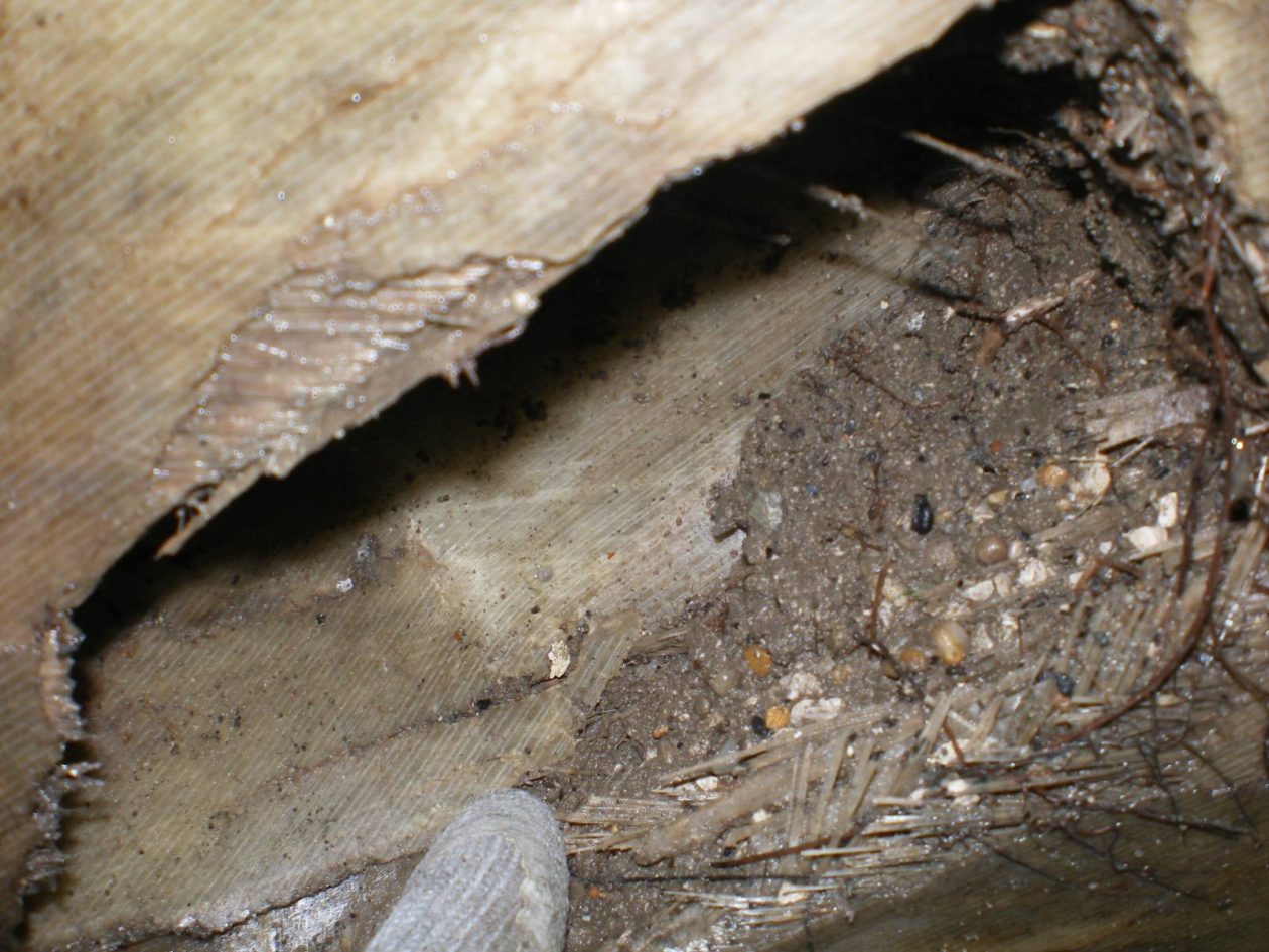 20260225 kanalizacija u Kraševoj (foto Vodovod i kanalizacija) 04 20260225 kanalizacija u Kraševoj (foto Vodovod i kanalizacija) 04