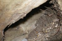 20260225 kanalizacija u Kraševoj (foto Vodovod i kanalizacija) 04 20260225 kanalizacija u Kraševoj (foto Vodovod i kanalizacija) 04