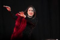 20260301 Karlovački festival komornog kazališta (21)