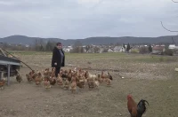 20260302 Obiteljsko poljoprivredno gospodarstvo Poljak 01 Mira Poljak