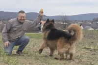 20260302 Obiteljsko poljoprivredno gospodarstvo Poljak 15 Miko Poljak i Medo