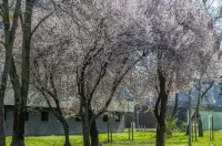 20260314 Karlovac (foto Igor Čepurkovski) 12