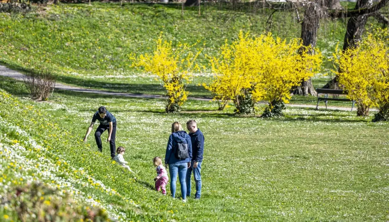 20260314 Karlovac (foto Igor Čepurkovski) 17