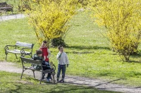 20260314 Karlovac (foto Igor Čepurkovski) 38