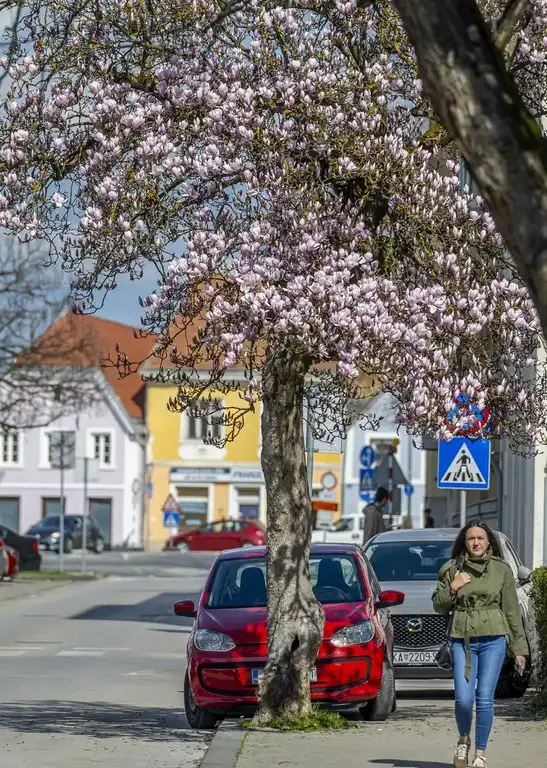 20260314 Karlovac (foto Igor Čepurkovski) 45