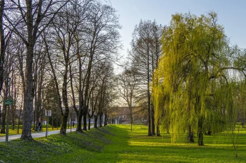 20260315 Karlovac (foto Igor Čepurkovski) 19 Korana, proljeće