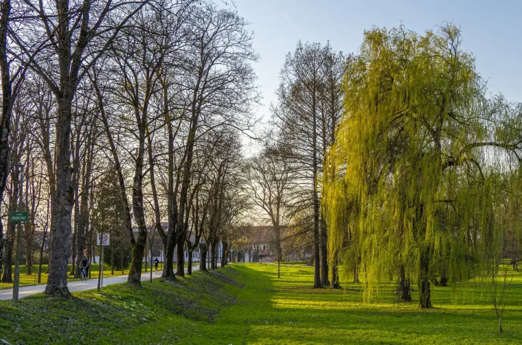 20260315 Karlovac (foto Igor Čepurkovski) 19 Korana, proljeće
