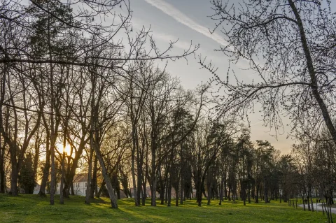 20260315 Karlovac (foto Igor Čepurkovski) 22 Korana, proljeće