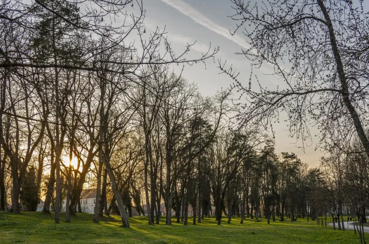 20260315 Karlovac (foto Igor Čepurkovski) 22 Korana, proljeće