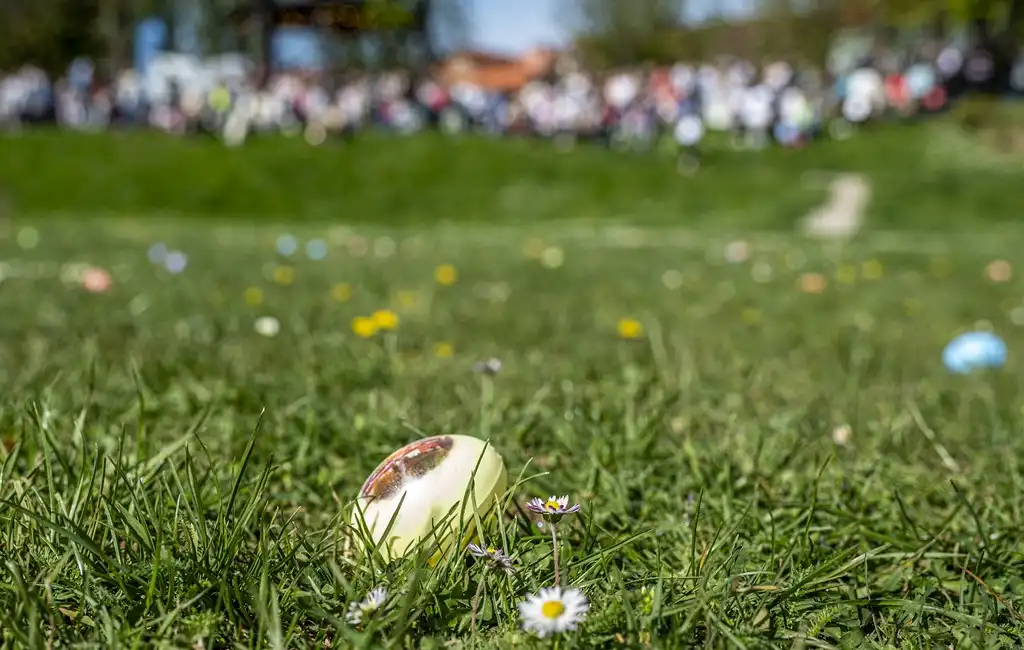 20260406 Šetalište doktora Franje Tuđmana, Karlovac, proljeće, Potraga za pisanicama (foto Igor Čepurkovski) 48