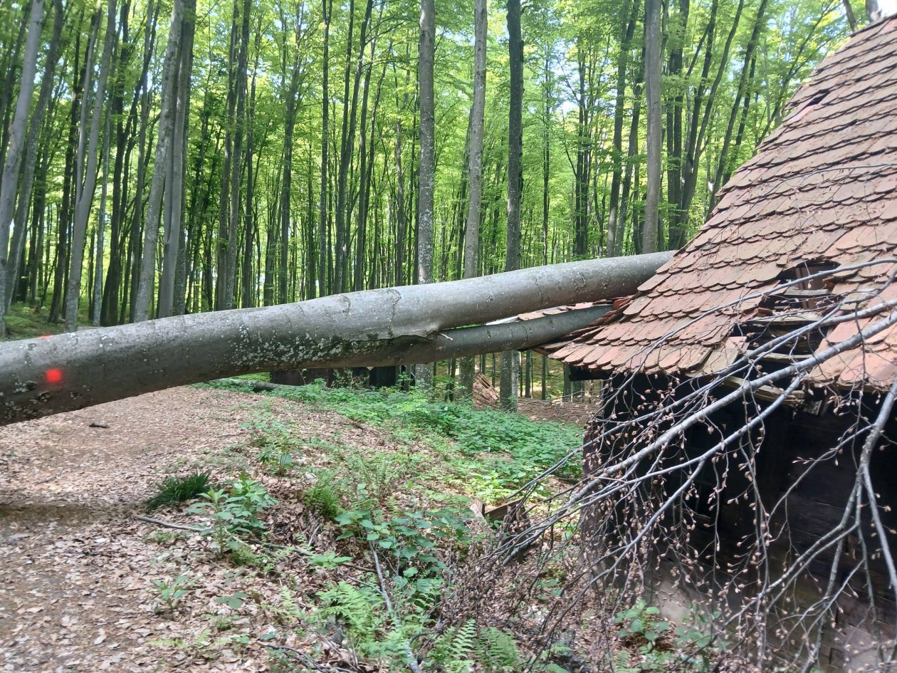 20260420 Centralna partizanska bolnica na Petrovoj gori (foto Udruga Kordunašica) 01