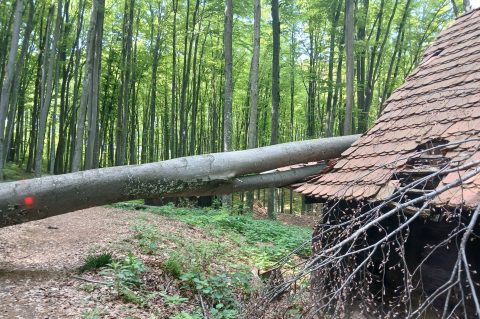 20260420 Centralna partizanska bolnica na Petrovoj gori (foto Udruga Kordunašica) 01