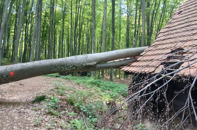 20260420 Centralna partizanska bolnica na Petrovoj gori (foto Udruga Kordunašica) 01