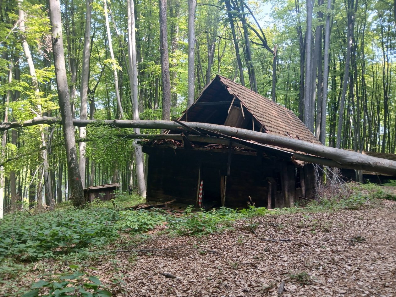 20260420 Centralna partizanska bolnica na Petrovoj gori (foto Udruga Kordunašica) 02