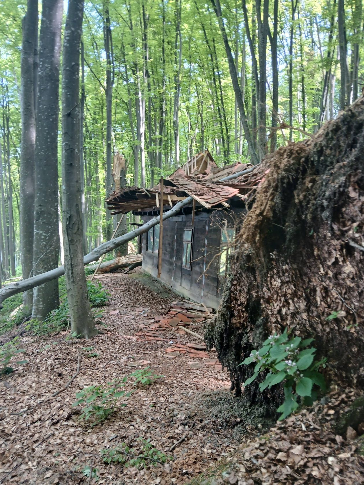 20260420 Centralna partizanska bolnica na Petrovoj gori (foto Udruga Kordunašica) 06