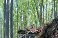 20260420 Centralna partizanska bolnica na Petrovoj gori (foto Udruga Kordunašica) 06