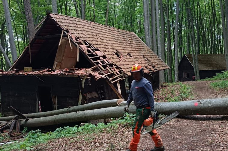 20260426 Centralna partizanska bolnica Petrova gora (foto Marin Svetić) 05