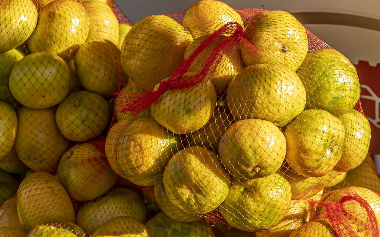 20261003 karlovačkim ulicama (19) 20261003 karlovačkim ulicama (19)