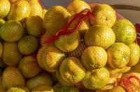 20261003 karlovačkim ulicama (19) 20261003 karlovačkim ulicama (19)