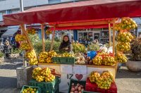 20261003 karlovačkim ulicama (20) 20261003 karlovačkim ulicama (20)