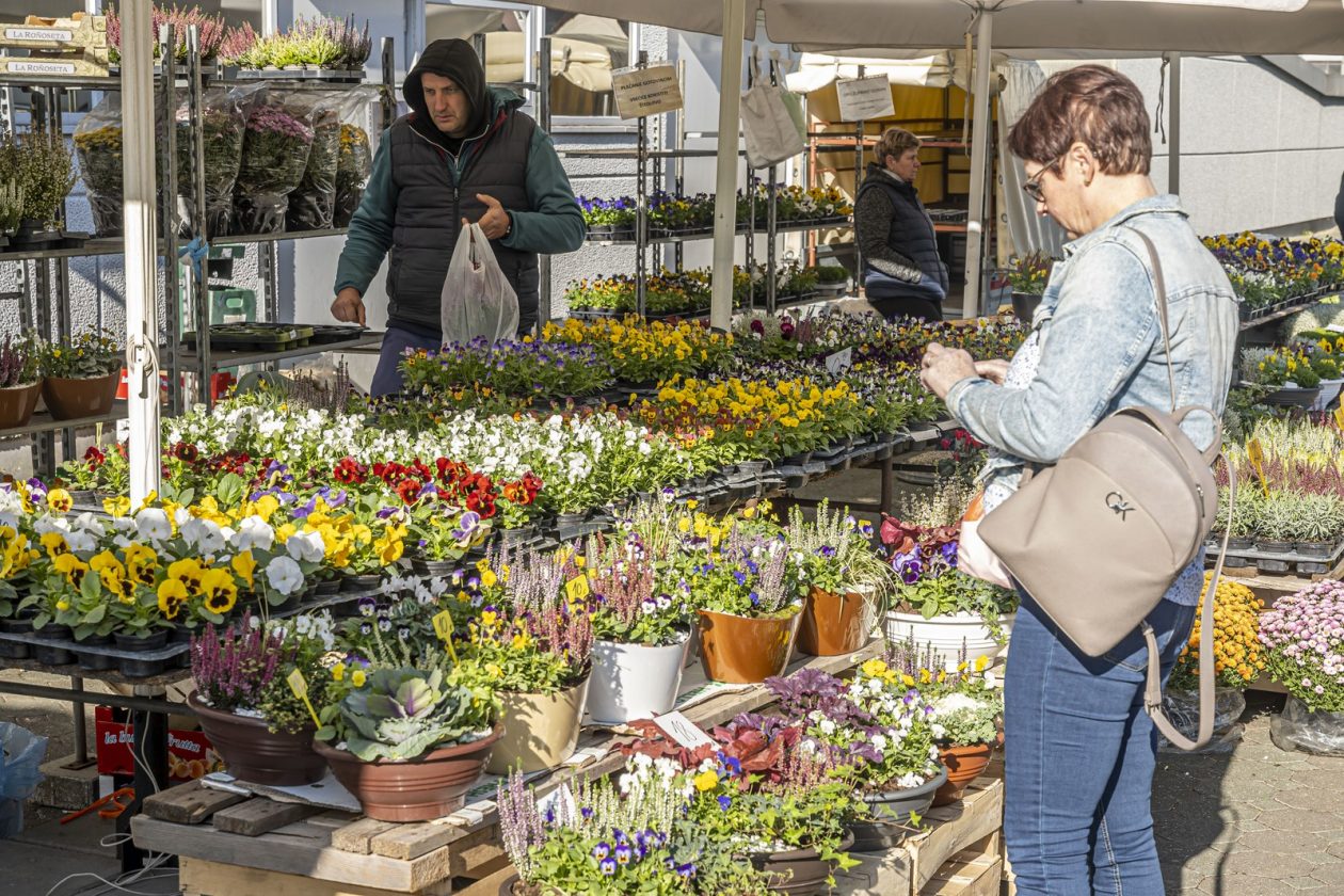 20261003 karlovačkim ulicama (21) 20261003 karlovačkim ulicama (21)