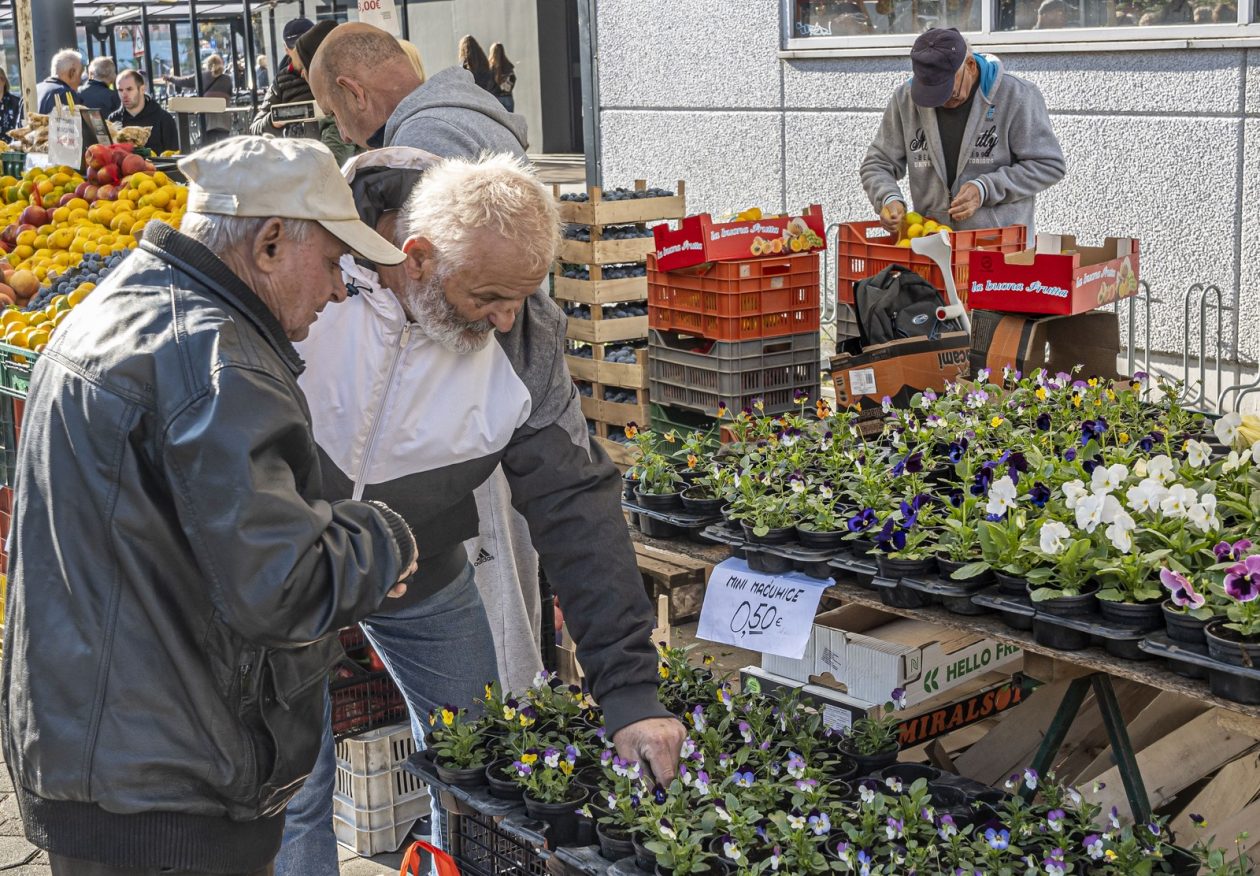 20261003 karlovačkim ulicama (22) 20261003 karlovačkim ulicama (22)