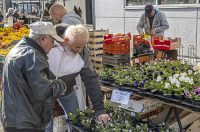 20261003 karlovačkim ulicama (22) 20261003 karlovačkim ulicama (22)