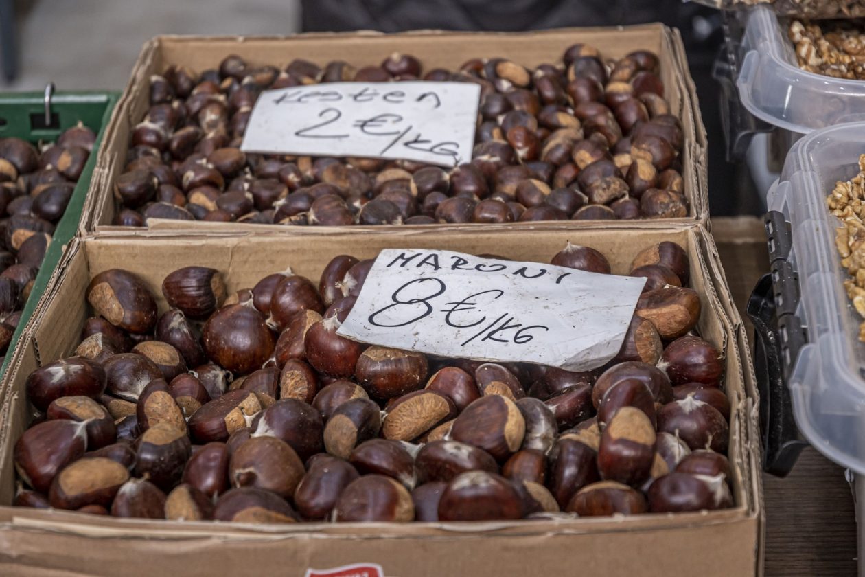 20261003 karlovačkim ulicama (28) 20261003 karlovačkim ulicama (28)