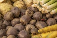 20261003 karlovačkim ulicama (32) 20261003 karlovačkim ulicama (32)